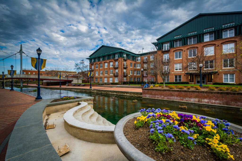 flowers and building established along carroll creek