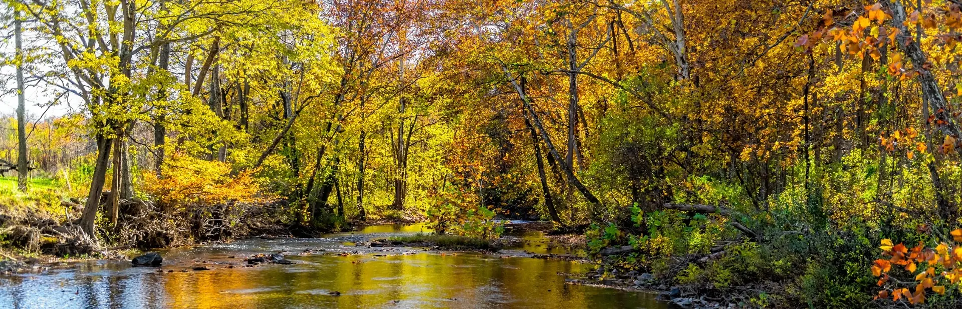 small creek on a fall day